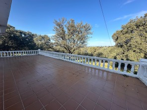 Terraza